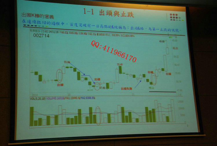 xiejiaying81