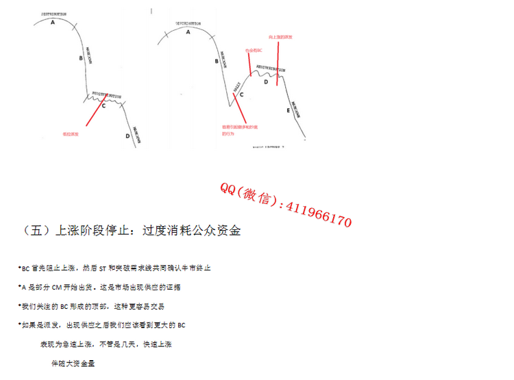 menghongtaoweikefu20196